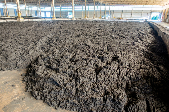 Selection of Polyacrylamide for Sludge Dewatering